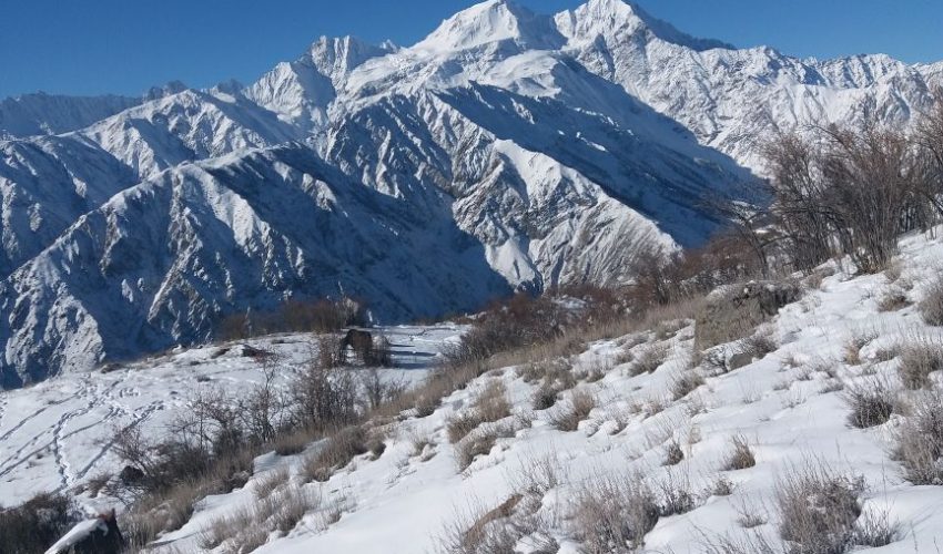 Hunting area