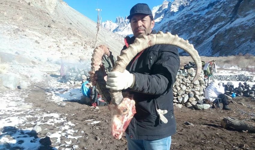 Ibex 10