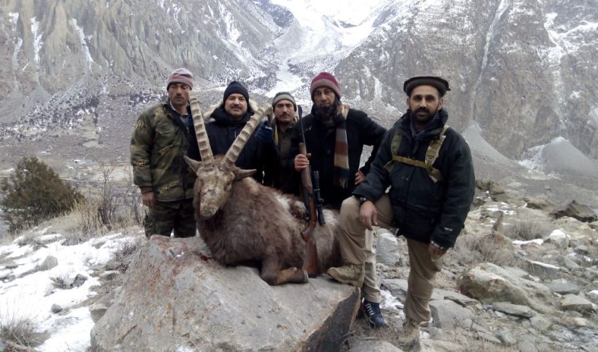 Ibex 5