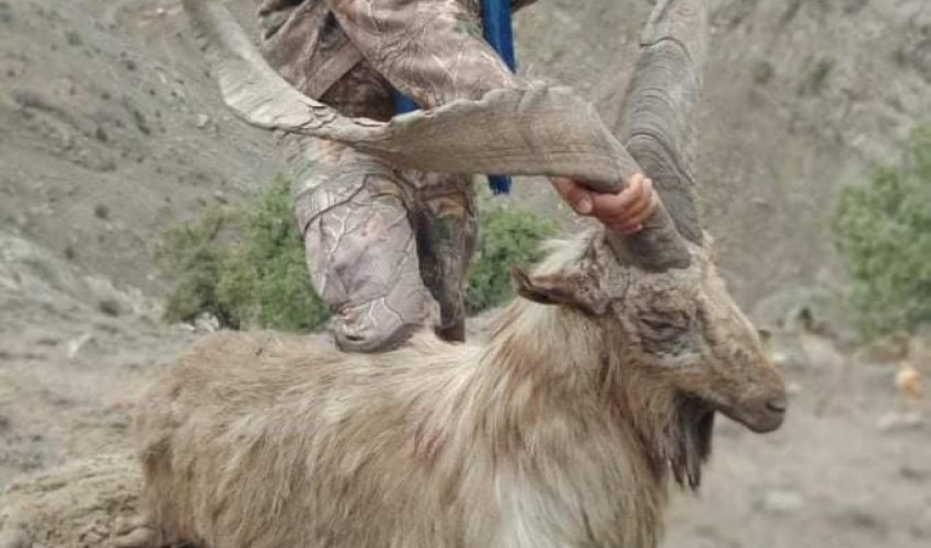 markhr