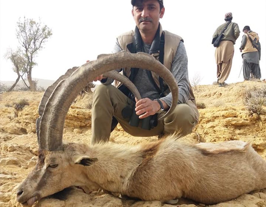 sindh
